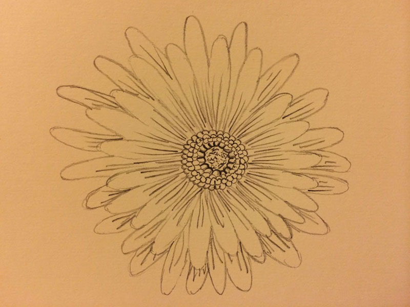 10-flower-sketch