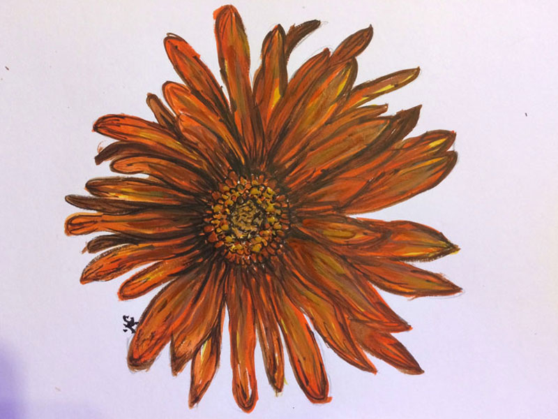 11-orange-flower