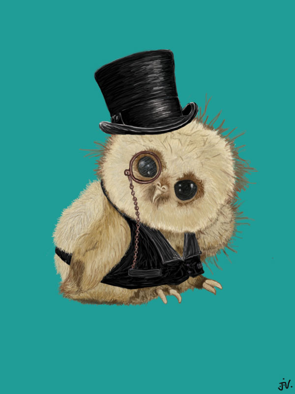 20- top-hat-owl