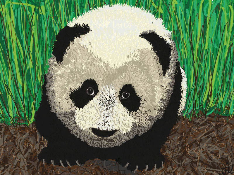 21- panda
