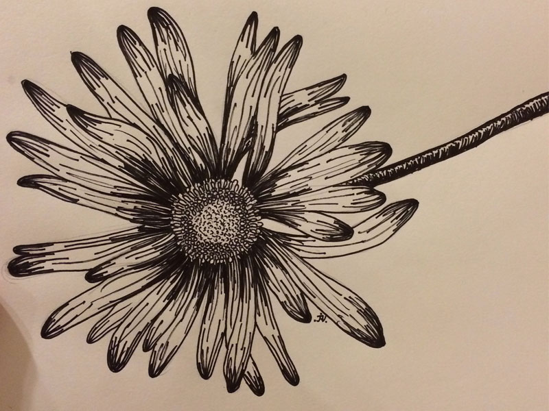 9-pen-flower