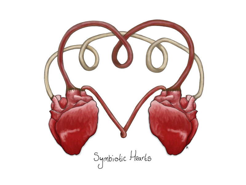 9- symbiotic-hearts