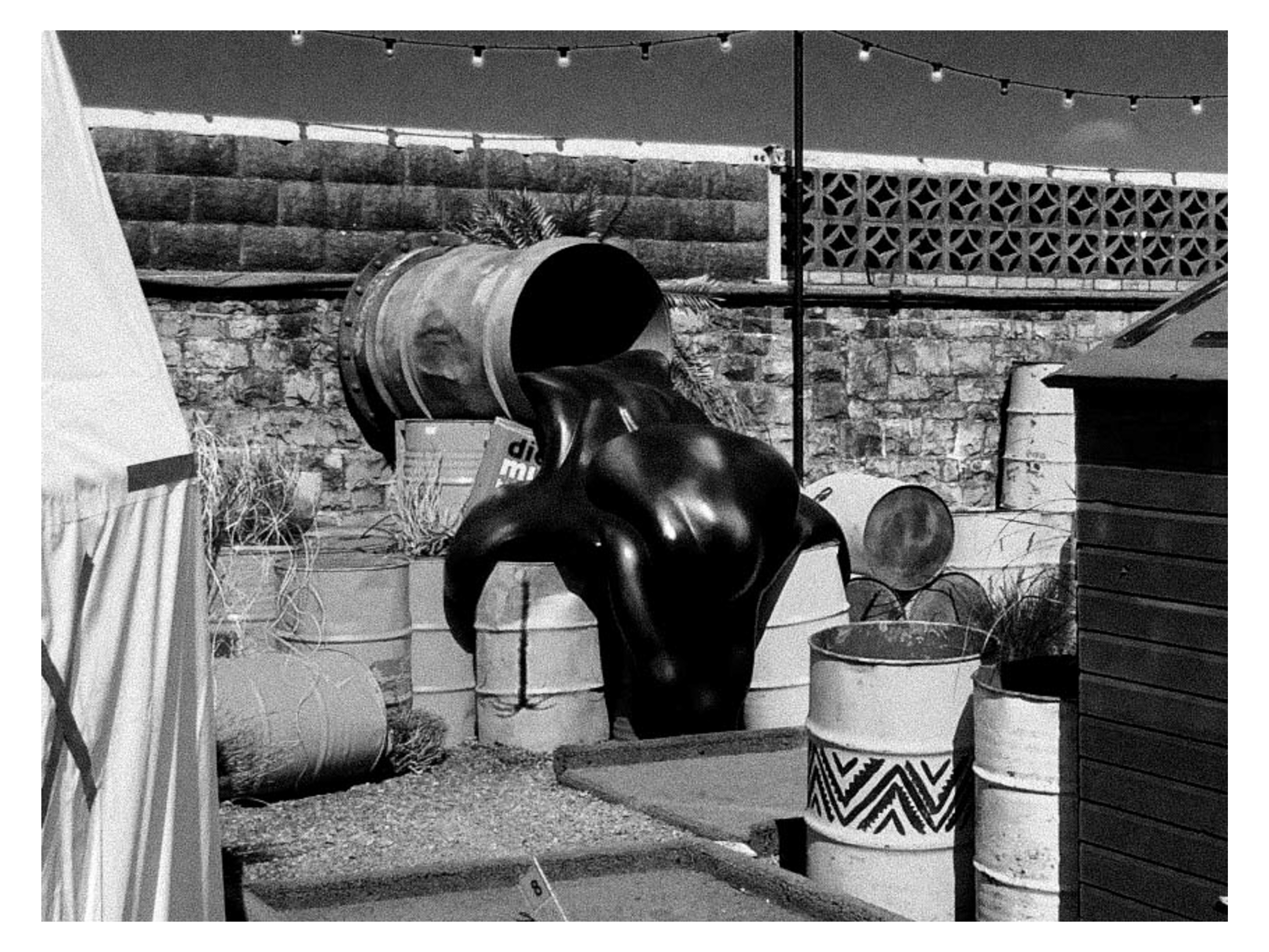 DIsmaland web files-24