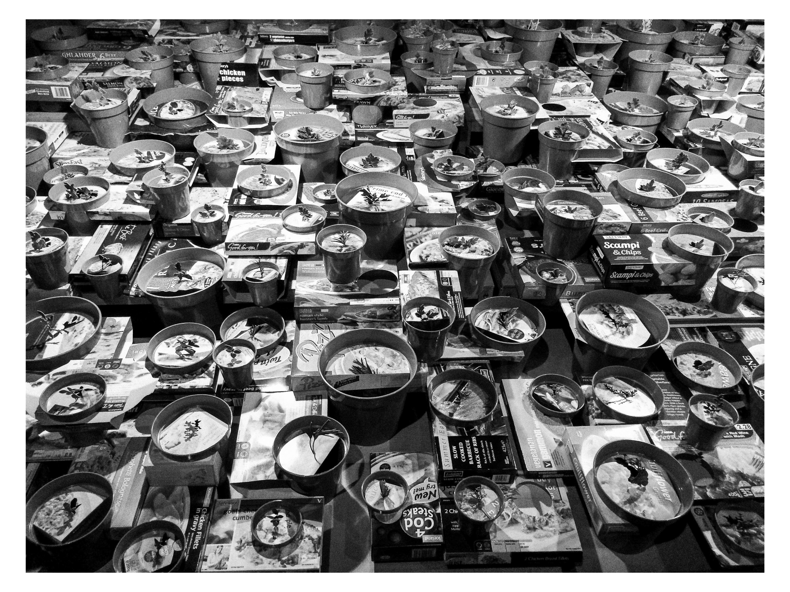 DIsmaland web files-32