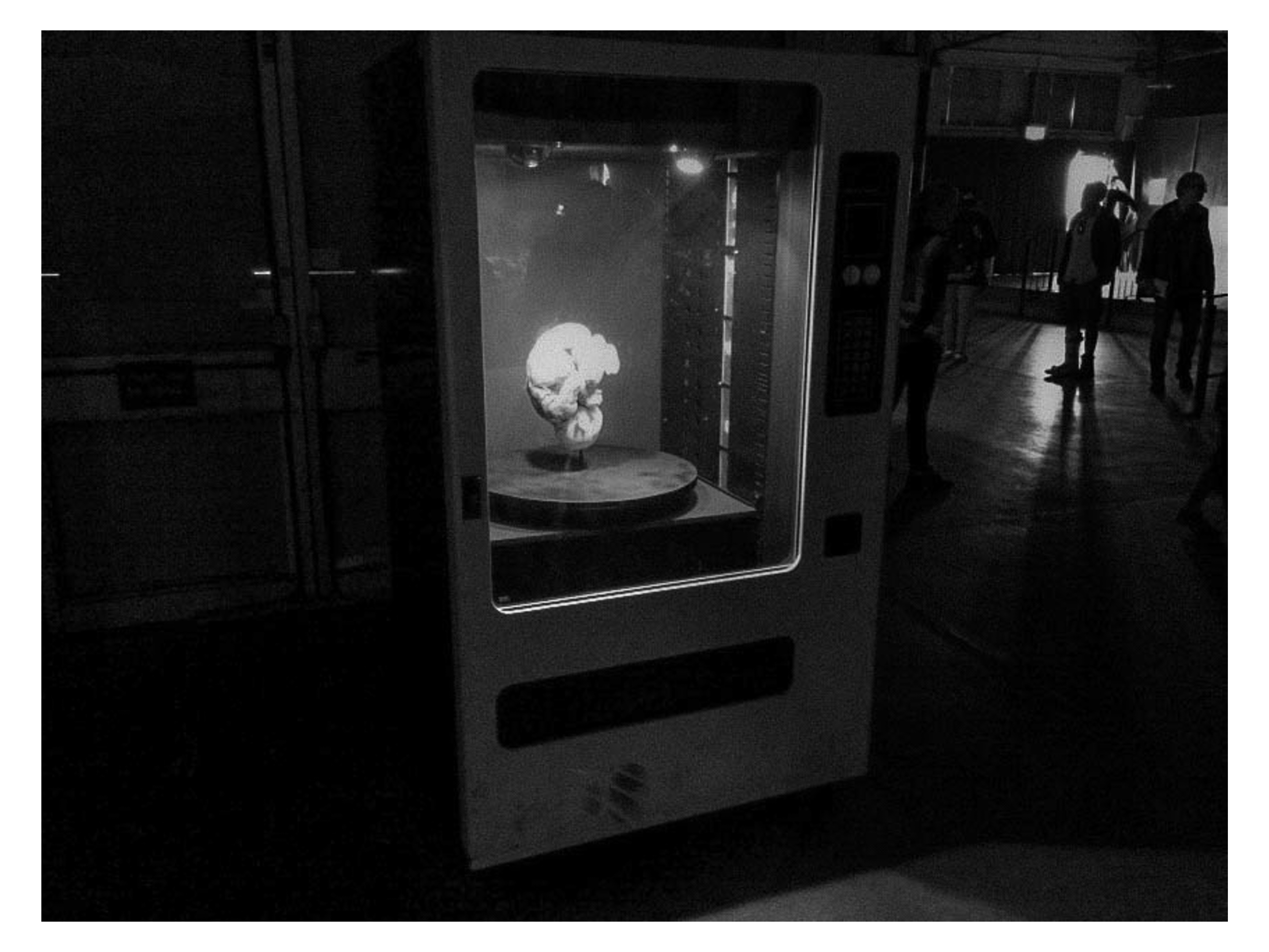 DIsmaland web files-33