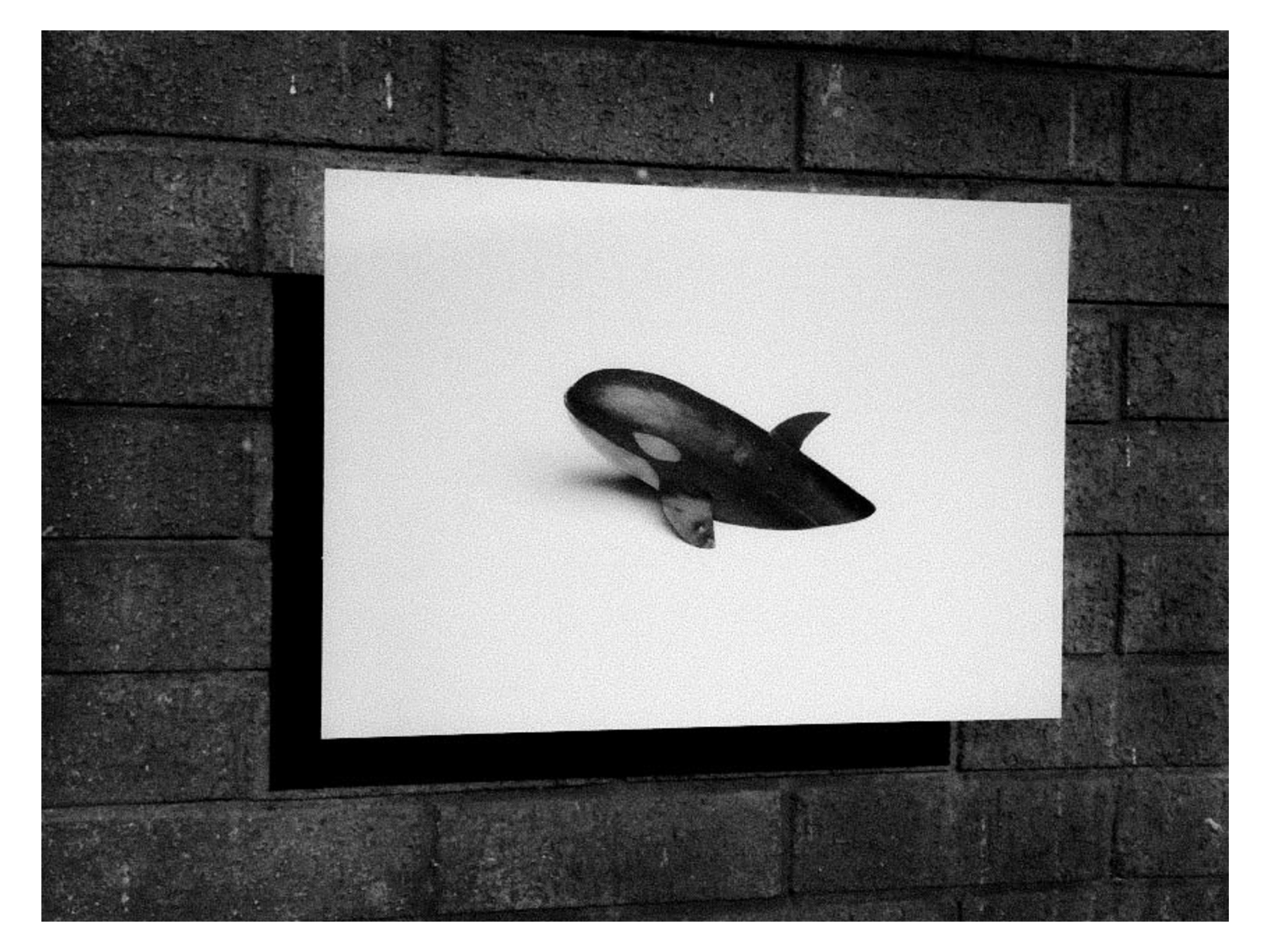 DIsmaland web files-38