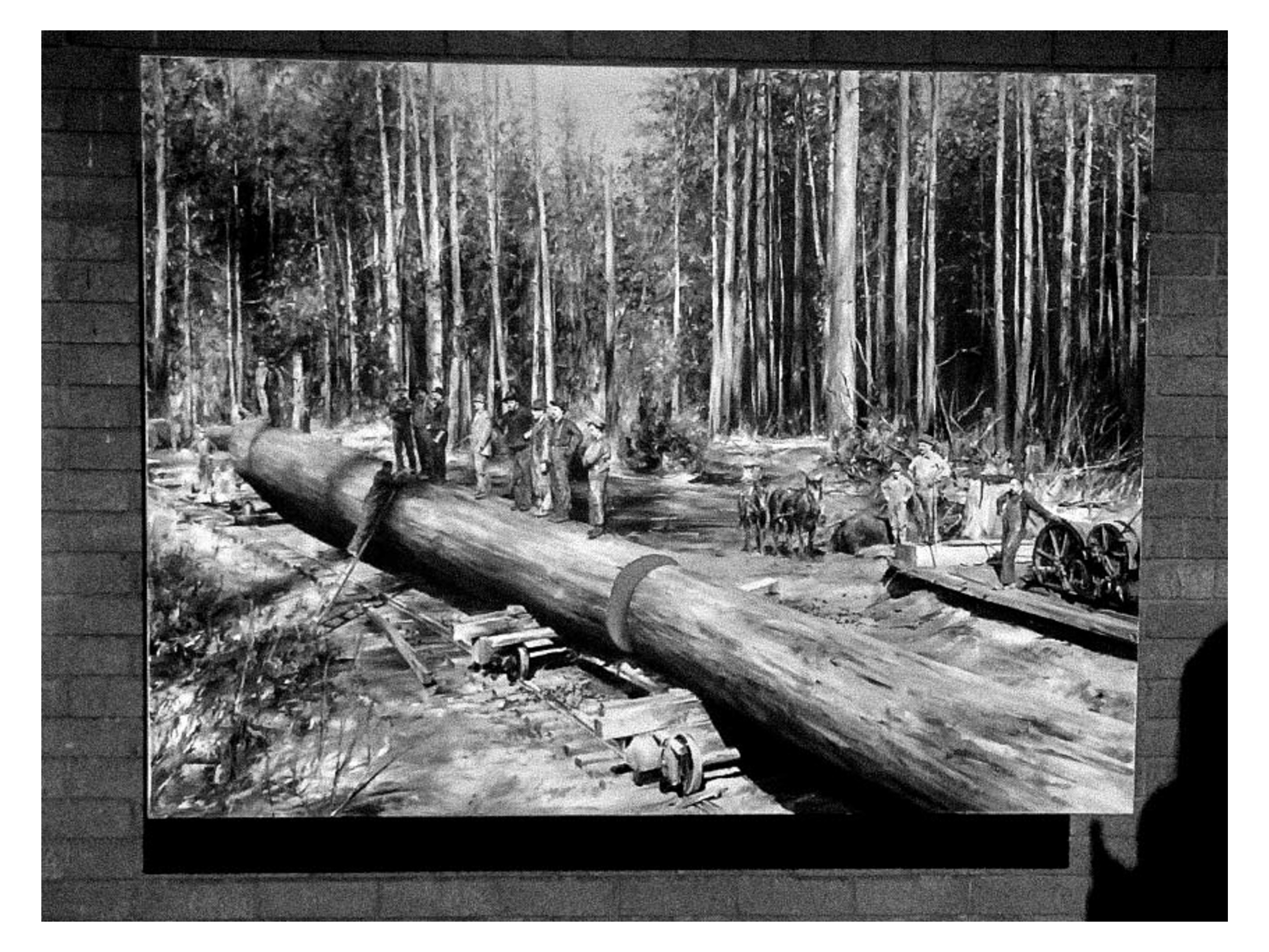 DIsmaland web files-41