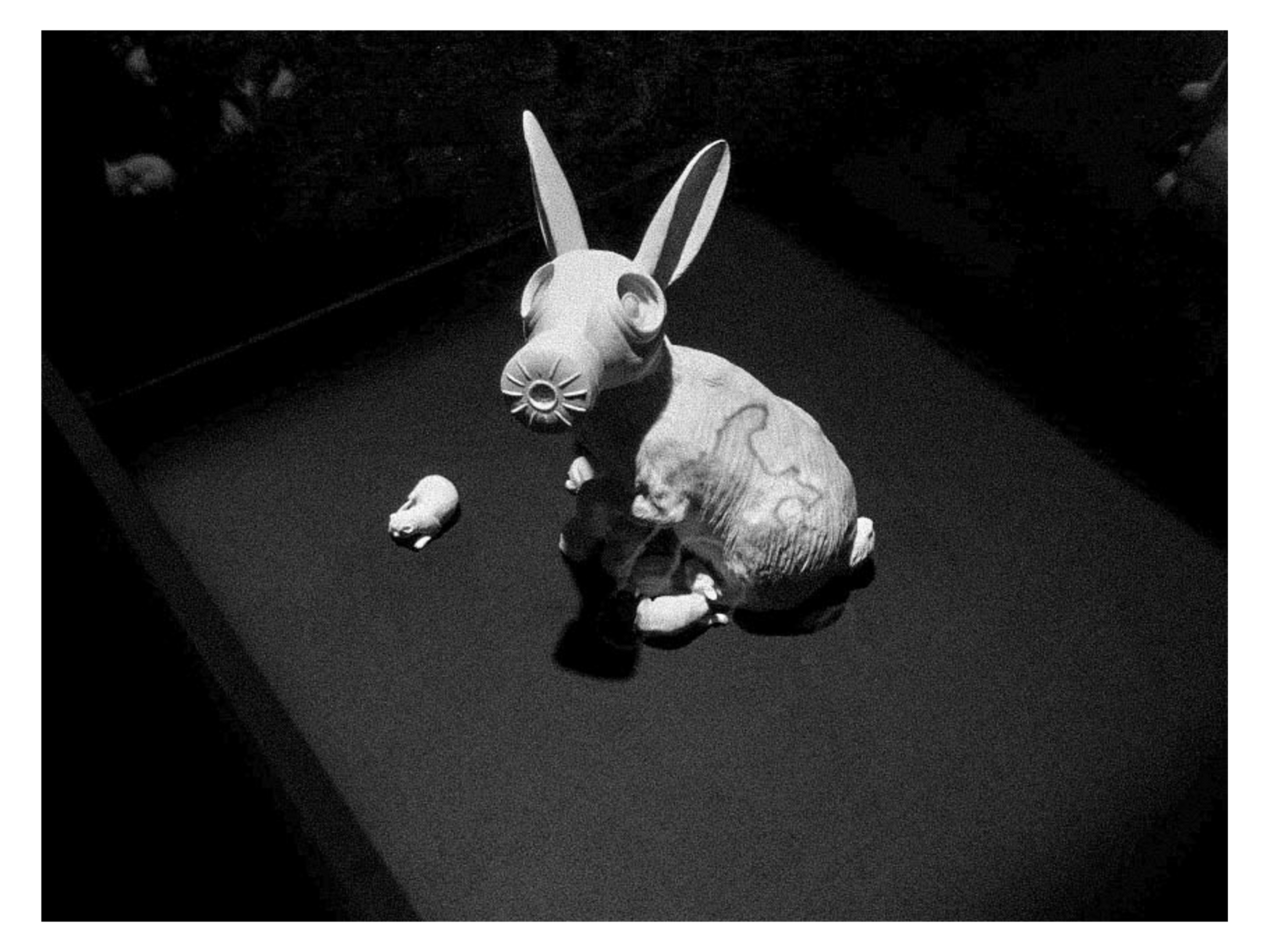 DIsmaland web files-43