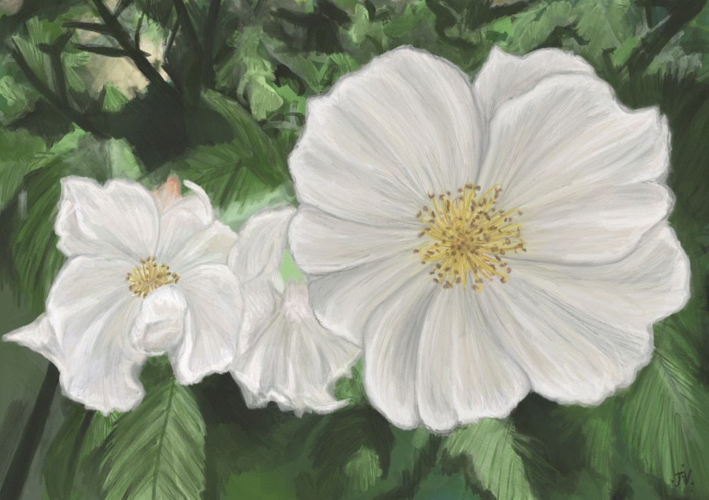 C0A6C22C-0C55-4503-AD32-6078987EC2FA